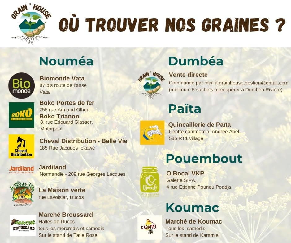 Nos points de vente physiques